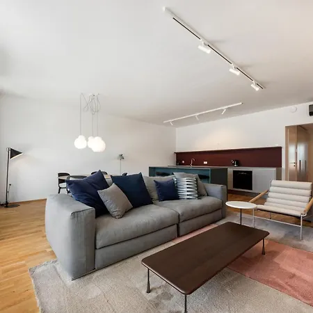 アパート Spacious 2-bedroom With A Terrace In Central リュブリャナ